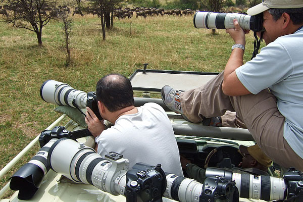 Photography Safaris